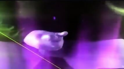 Wilder Videos 7