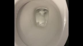 Got really horny in public toilets cumshot all over