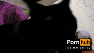 Pussy Loves Graffiti and Throats the Pen (Music by: John Bravoe)