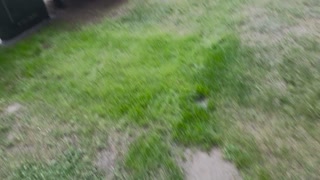 Take some rest, Kings! go touch grass with me #3