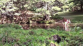 Nackt in der natur mit dildos und frisch rasiert