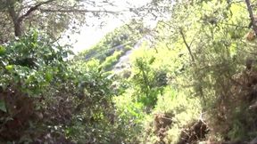 Stunning naked blonde wildly ass fucked in the woods