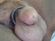 My micropenis cage
