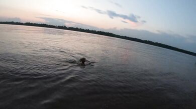 Fishermen swim past a beautiful nudist woman