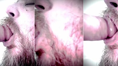 This wild boar needs to suck some cox