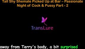 English Audio Sex Story - Tall Shy Shemale Picked up at Bar - Passionate Night of Cock &amp; Pussy - Part 2