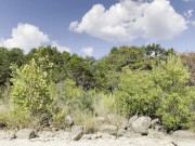 Sweaty runner does exercises outside