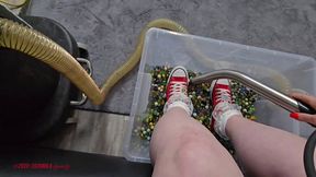 Mila - Magic Foam and Marbles - Airbo pov c