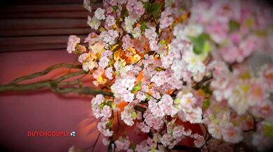 DUTCH MILF ANAL HOTEL ROOM FUCK CUMSLUTSWALLOW