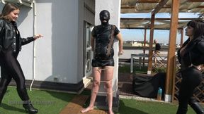 MISTRESS LILY DUPONT : PULL YOUR COCK AND BALL HARD