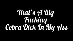 that’s a big fuckin king cobra dick in my ass: mikailee loves her ass filled with cobra