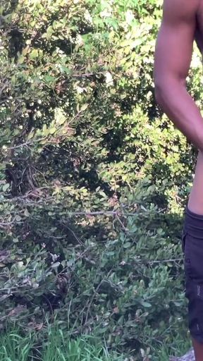 Big Dick Public Jerk off! - Solo Caught