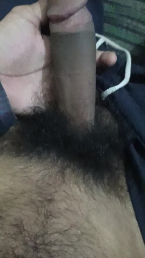Erect cock fucking