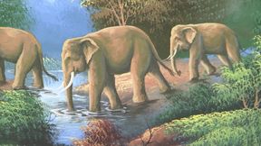 White woman gets drilled by black stud