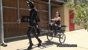 Human Pony Ride (MP4)