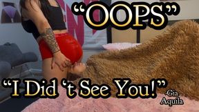Oops! I Didn't Even See You! - Gia Aquila