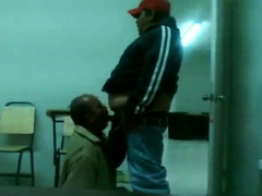 Fat Daddy Bear Sucks Chub