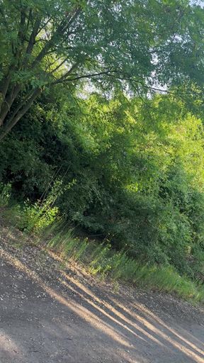 Stadt wilderness nude in public