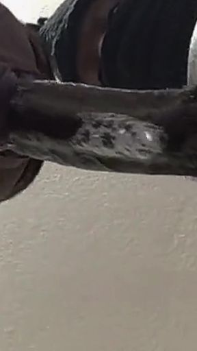 Sloppy Blowjob
