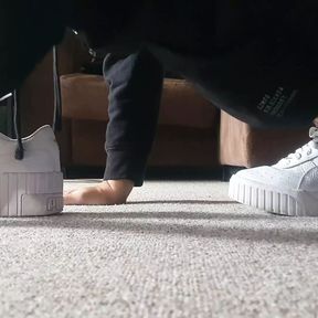 Sniffing and fucking my cousins pumas, request