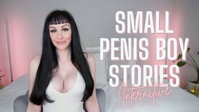 Small Penis Boy Stories - Interactive Task (MP4 HD)