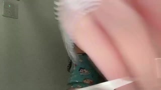 [For women] A handsome boyfriend who got horny while cooking puts a hard cock and moves his hips vio