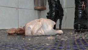 Chicken under heeled New Rocks floor view