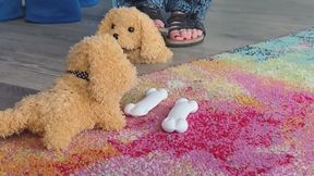 Carinas crush little puppys with her feet in Birkenstock Molina