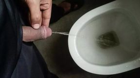 Desi gay in Public washroom toilet fun