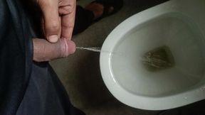 Desi gay in Public washroom toilet fun