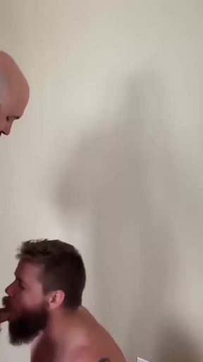 BEARFILMS - Bald bear Sig Raider raw fucks hairy Mac Raider