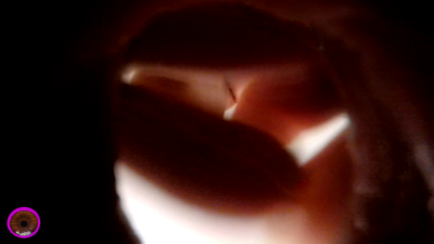 Giantess Cirilla- Pussy Pocket