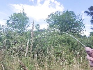 Pissing at the Lookout