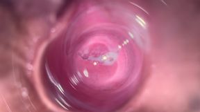 Inside Mia's Vagina, Internal Camera in Teen Pussy