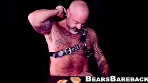 Steppapa Bear Destroyed By His Favorite Cub Bareback Style - Scott Finn