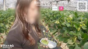 素人女子大生といちご狩りデート♡白濁液を全身にぶっかけられて大興奮　フェラ　日本人　カップル　セックス　主観　おっぱい　巨乳　スタイル抜群　美女　ハメ撮り　個人撮影　手コキ　クンニ　まろちゃんねる