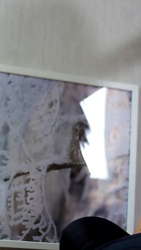 Share My Wife with a Friend. Threesome. Mfm. Cuckold. Bisexual Husband. MILF Orgasm. Full Scene. Ep 30 (3031)