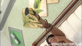 Get your ass fucked by a tranny in your first shemale threes