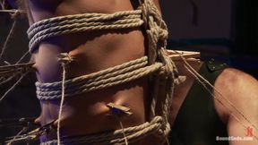 Wilfried Knight - Leo Forte's Dream Comes True