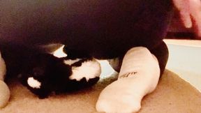 Milf Giantess SeductiveGenX Sits on Your Tiny Face and Farts