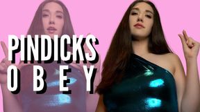 Pindicks Obey - SPH - Goddess Venus