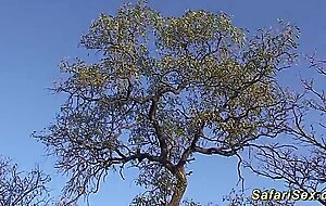 extreme african safari sex tour