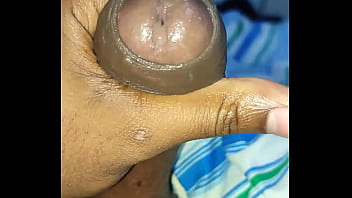 Pau bab&atilde_o