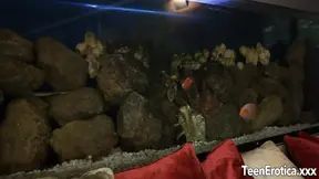 Sweetheart Isabel bent over and taken hard