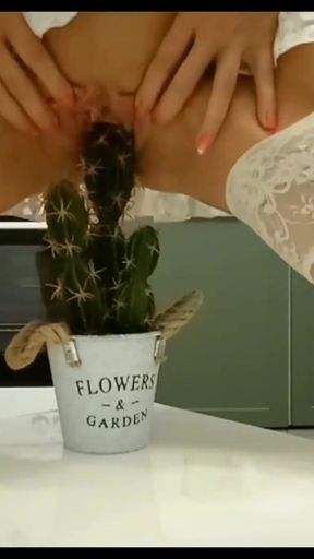 Epic moment from &quot;Crazy mom fucks by cactus&quot;