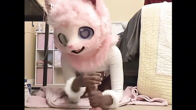 Cute fluffy pup tries to get your attention!