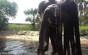 Skinny zulu hottie with perfect tits getting fucked while bathing in the river