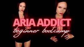 Aria Addict: Beginner Bootcamp