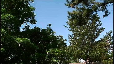 Dee and Holly Lesbian Ass Eating Orgy