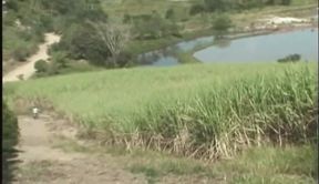 Throbbing Cock Deepthroat Outdoors - Bulging Throat and Ass Licking Frenzy